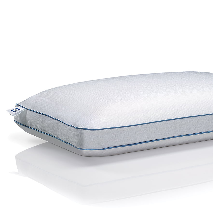 Sealy Chill Cooling Memory Foam Bed Pillow with Support Gel, Standard Size