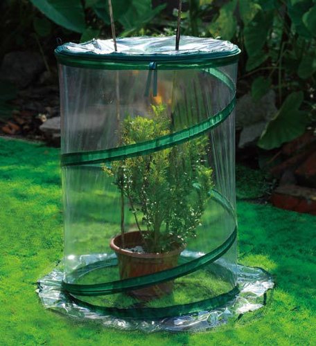 Zenport SH3240 Portable Pop Up Greenhouse for Small Plants/Shrubs  26-Inches High