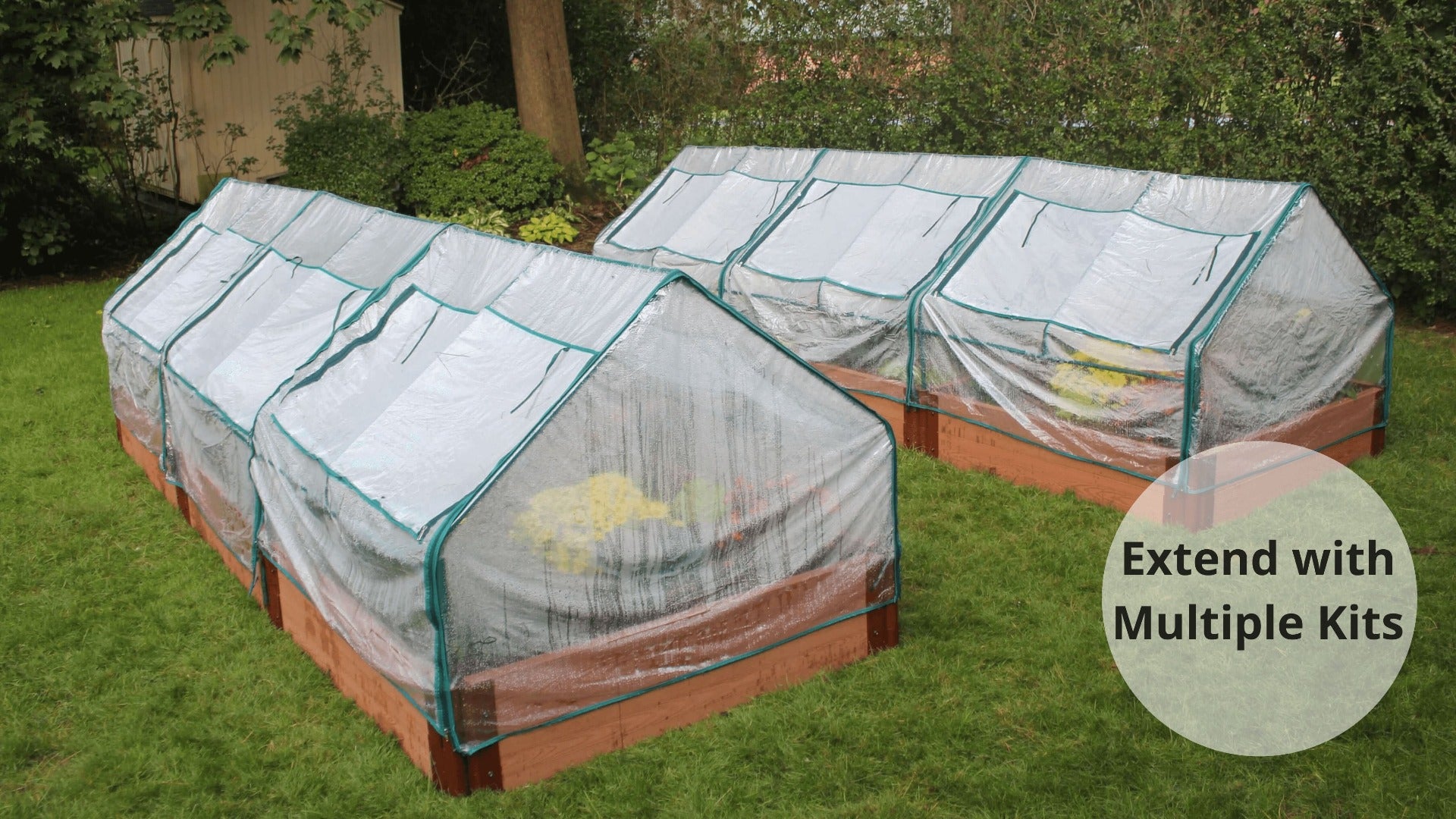 Cold Frame For Raised Bed - The 4 x 4 ‘Greenhouse’