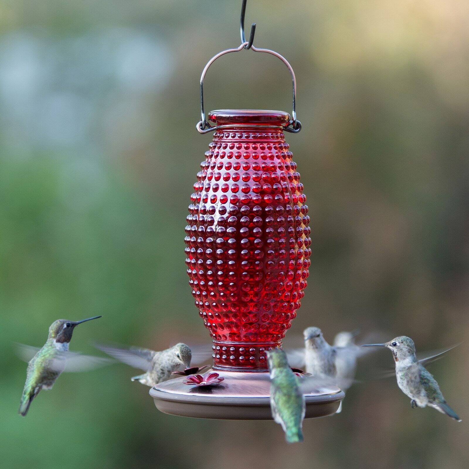 Perky-Pet Red Hobnail Vintage Hummingbird Feeder - 16 oz