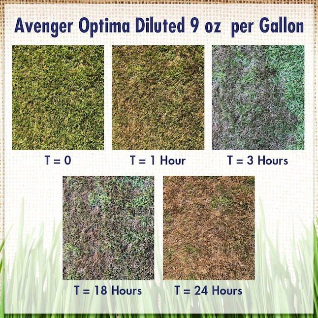 Avenger 1-Gallon Natural Concentrated Herbicide