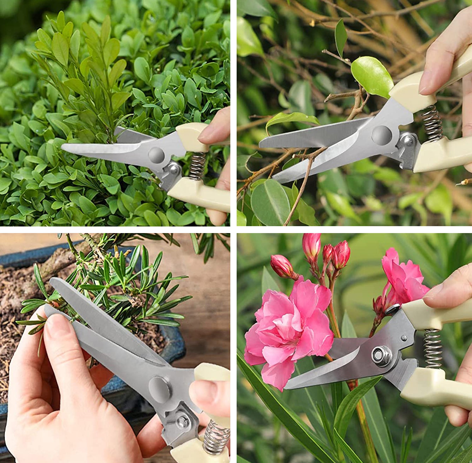 Rush To Sky Premium Pruning Shears, Scissors Gardening Tools, Garden Clippers Trimming Floral, Rose, Flower Stem, Tree and Indoor Live Plant, Hand Pruners, Florist Snips Set, Small Trimmer, 2 Pack
