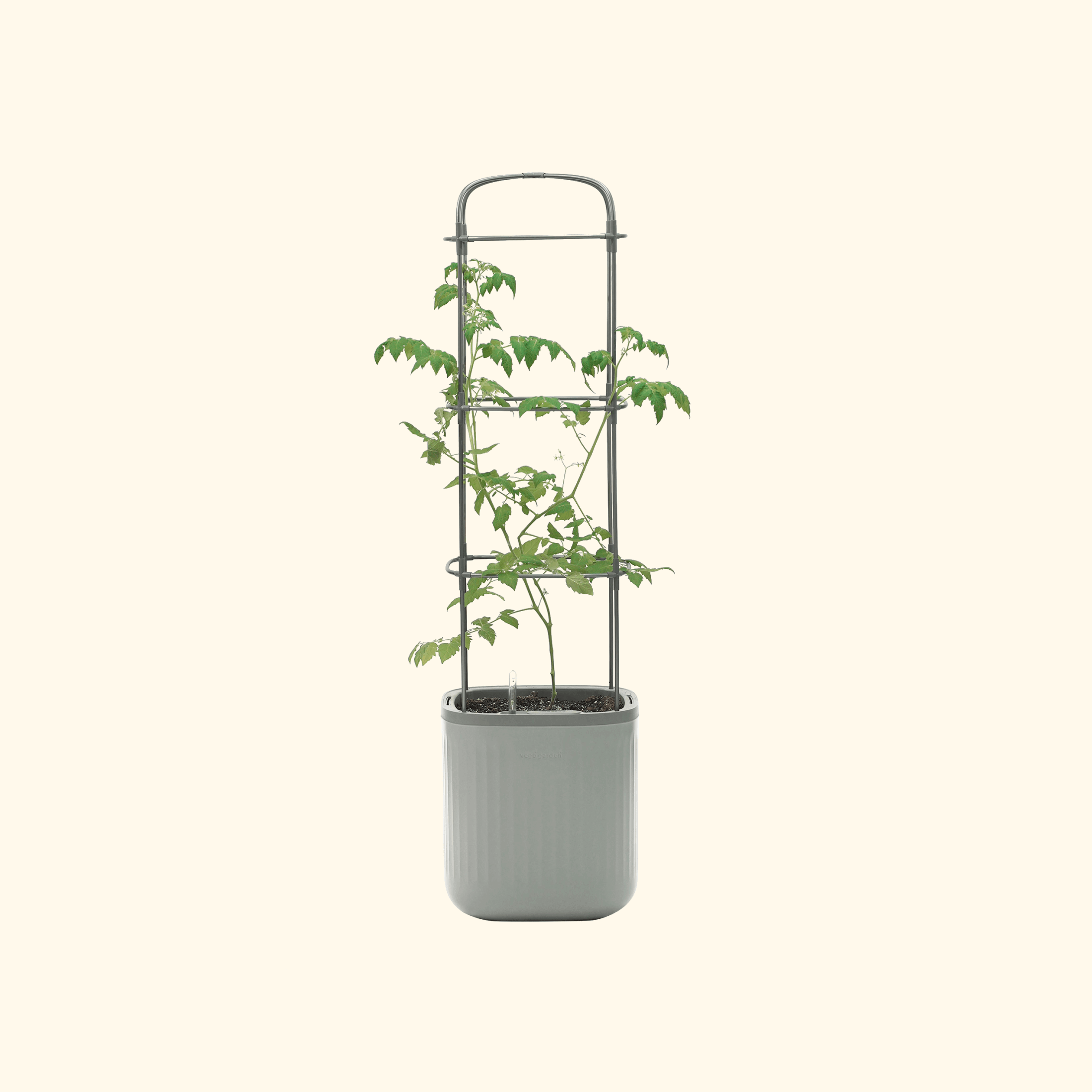 Self-Watering Rolling Tomato Planter Pot With Trellis