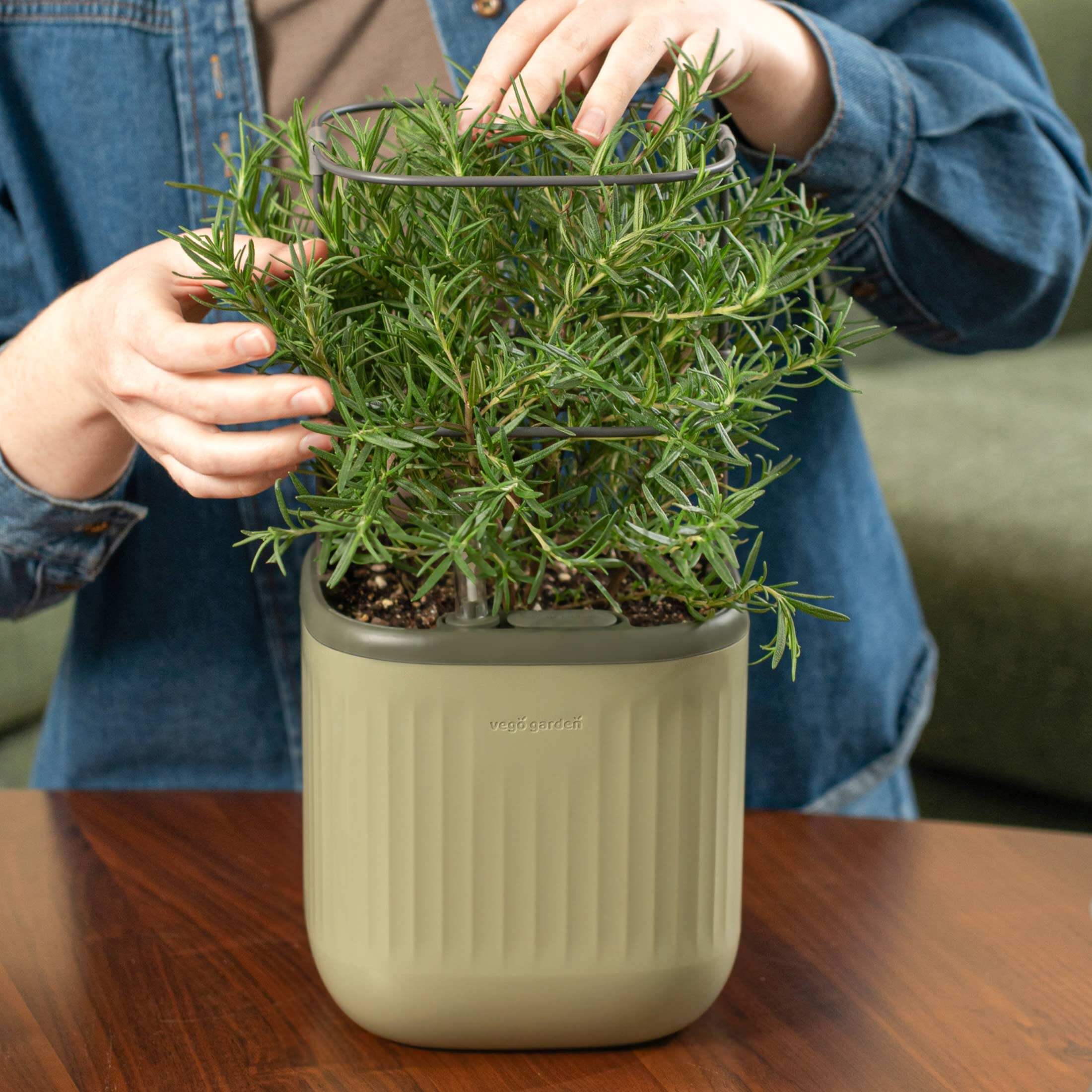 Self-Watering Mini Planter Pot with Trellis