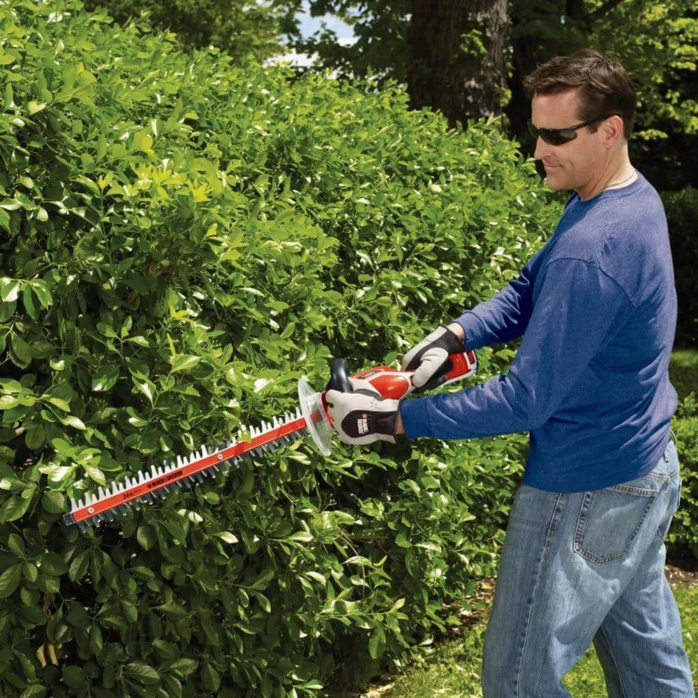 BLACK+DECKER 40V MAX Cordless Battery Powered Hedge Trimmer (Tool Only) LHT2436B