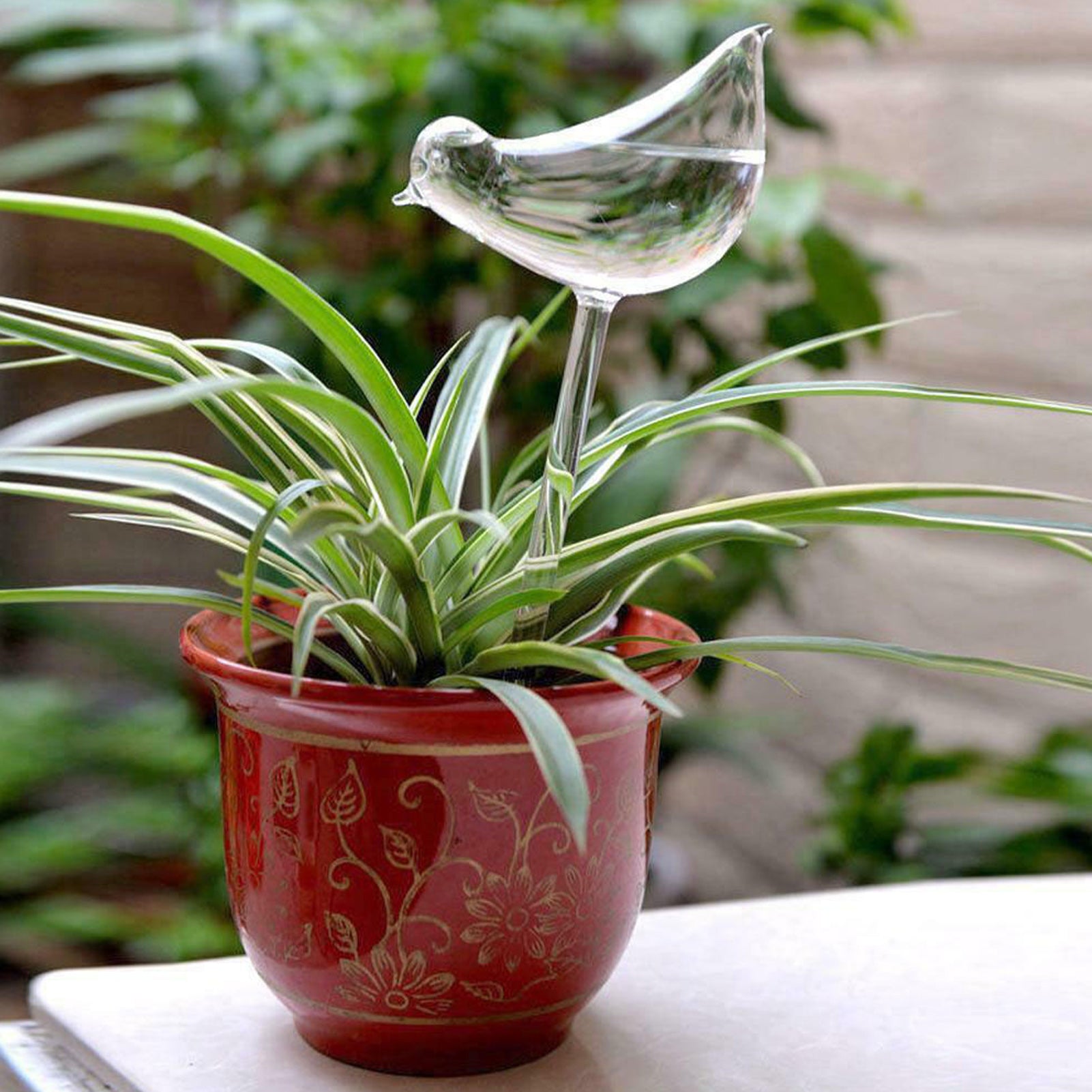 DraggmePartty Houseplant Automatic Self Watering Glass Bird Watering Cans Flowers Plant Decorative Clear Glass Watering Device