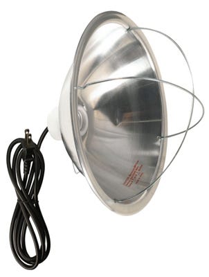Brooder Lamp Hanging 300W 6-Ft. Cord