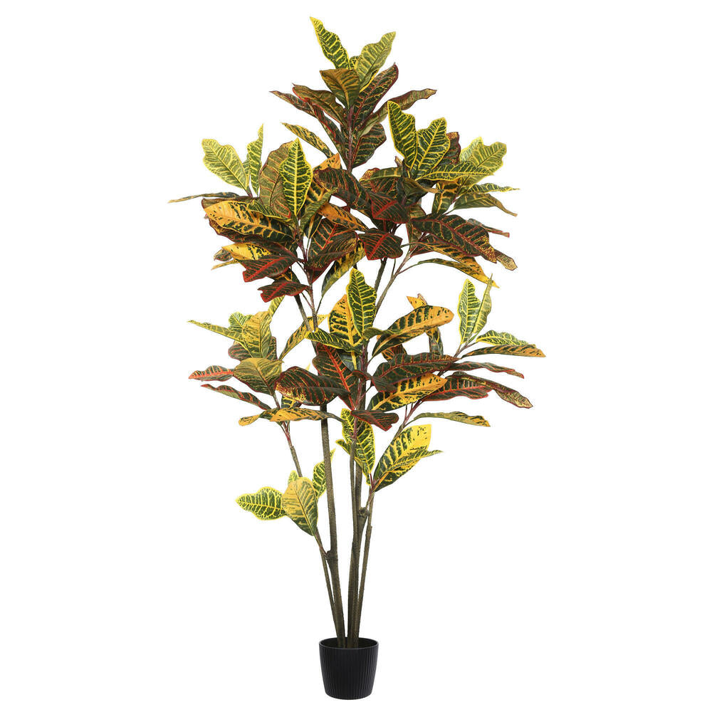 Artificial Plant : Potted Croton Tree
