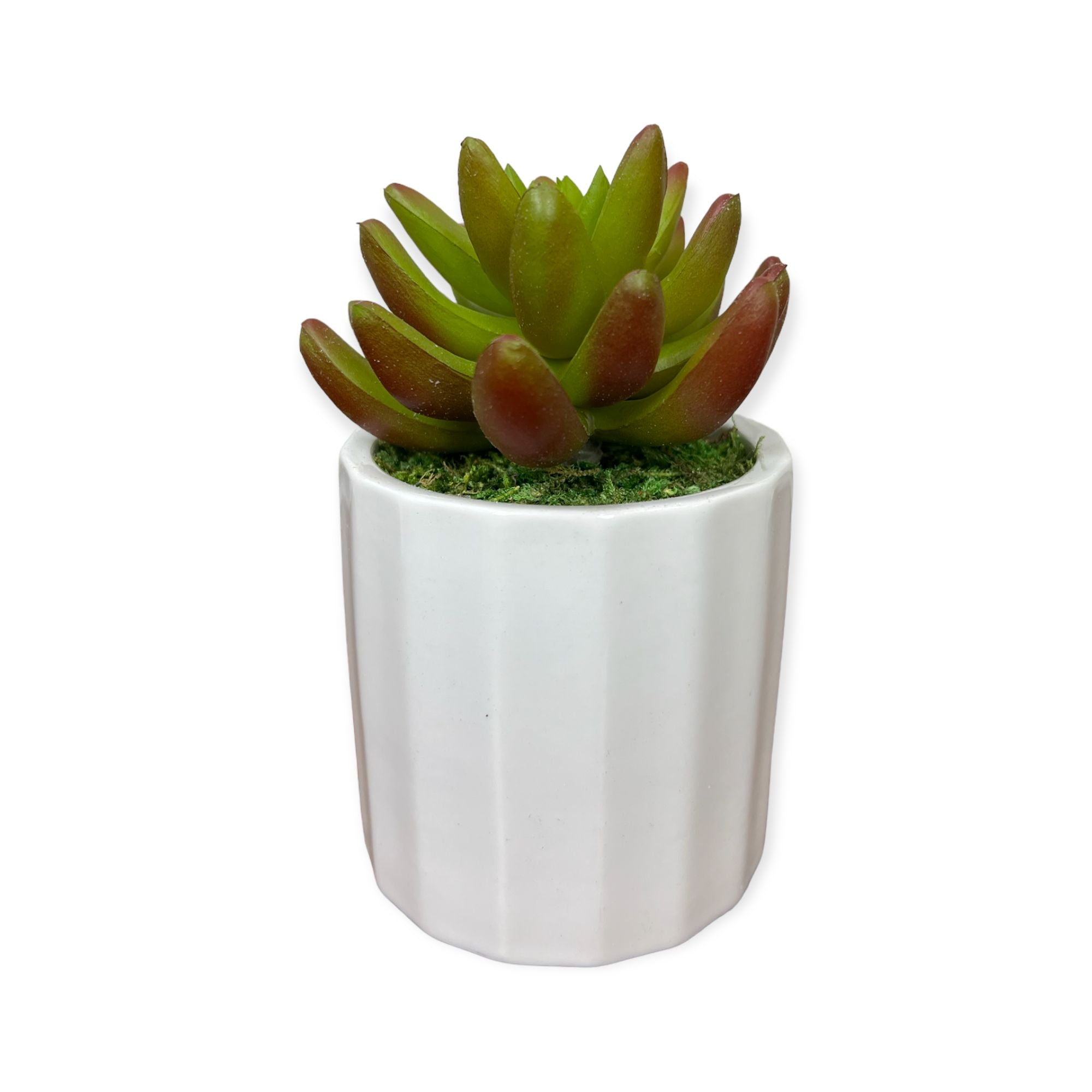 Artificial : Gorgeous Succulent in Ceramic Pot