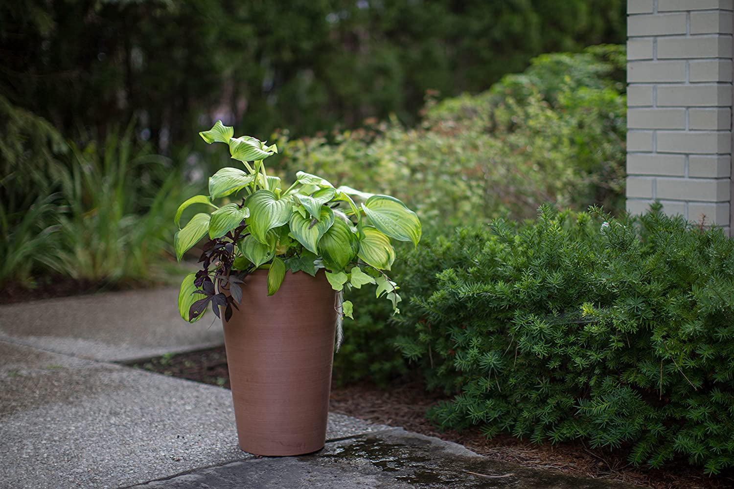 Algreen (#16730) Valencia Round Planter Pot， Textured Terra Cotta 18