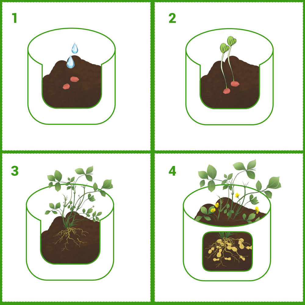 Yescom Pack of 3 10 Gallon Potato Grow Bags Fabric Pots w/ Handles