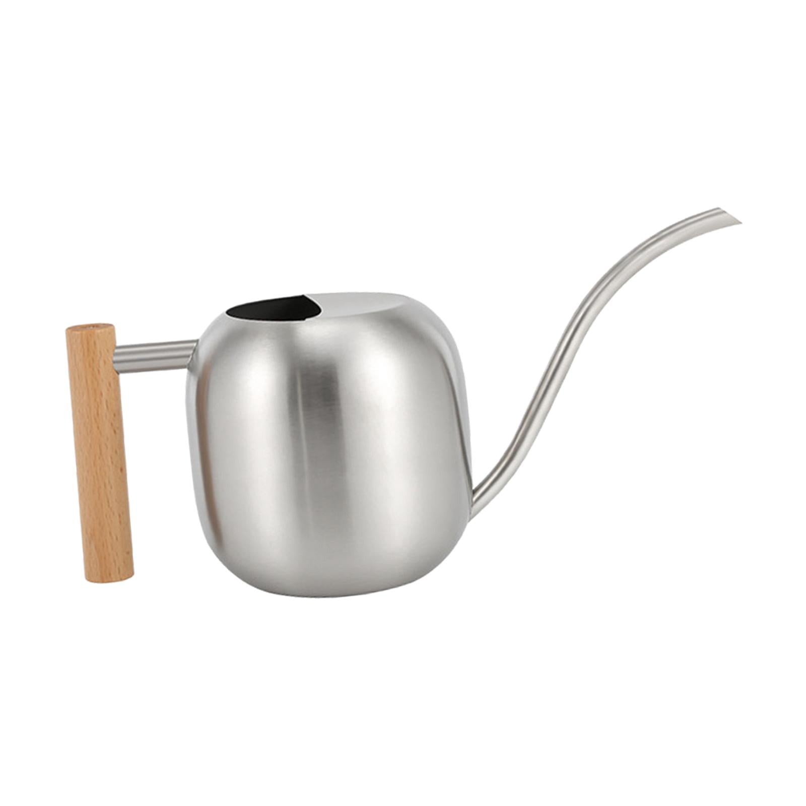 Stainless Steel Indoor Watering Can ,Modern Watering Can Pot, Wooden Handle Long Spout Watering Can for Patio, Flower ,Outdoor Decorative