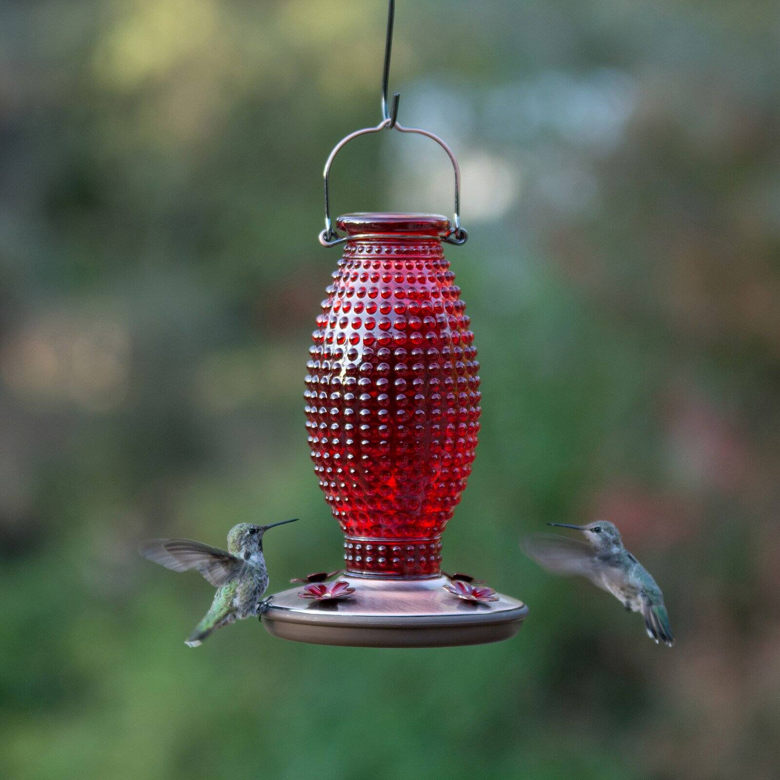 Perky-Pet Red Hobnail Vintage Hummingbird Feeder - 16 oz