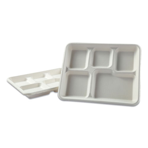Boardwalk Bagasse Molded Fiber Dinnerware | 5-Compartment Tray， 8 x 12， White， 500